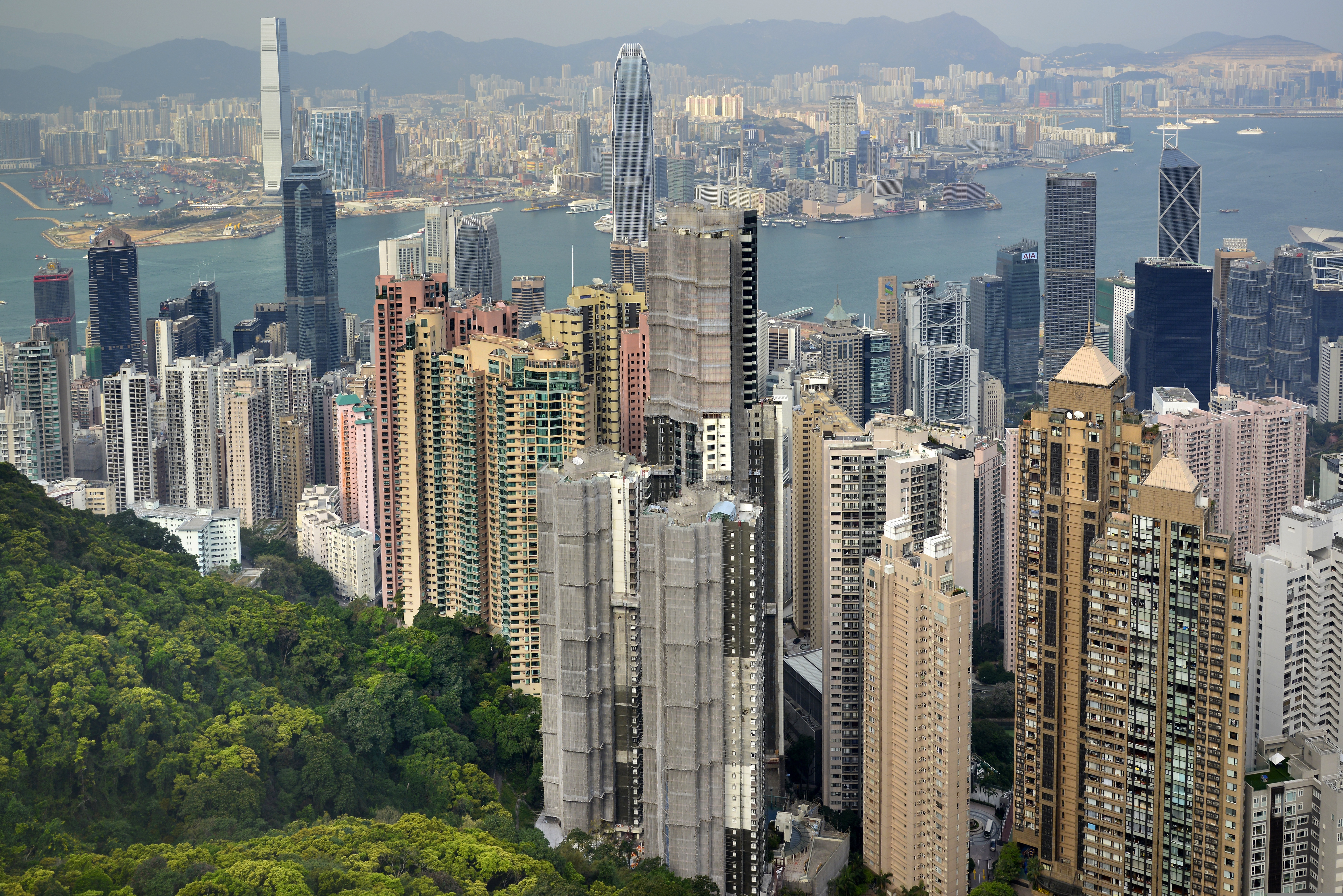 Enhancing ASEAN SMEs' Competitiveness in the Hong Kong Market through Digital Platforms