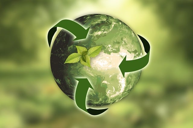 Sustainability through green packaging